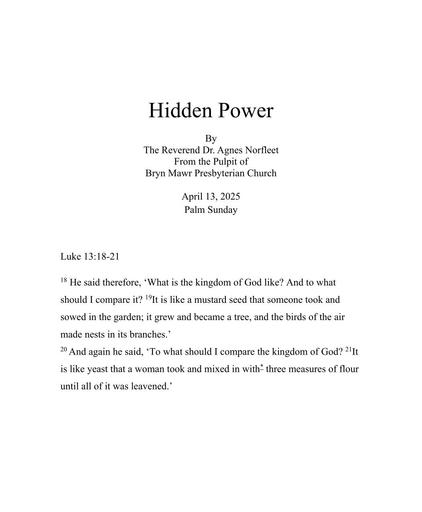 Sunday, April 13, 2025 Sermon: Hidden Power