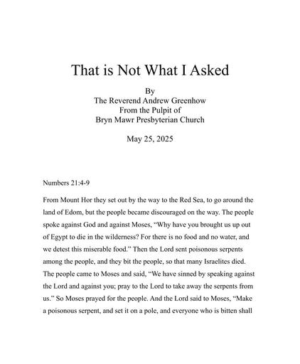 Sunday, May 25, 2025 Sermon: That is Not What I Asked